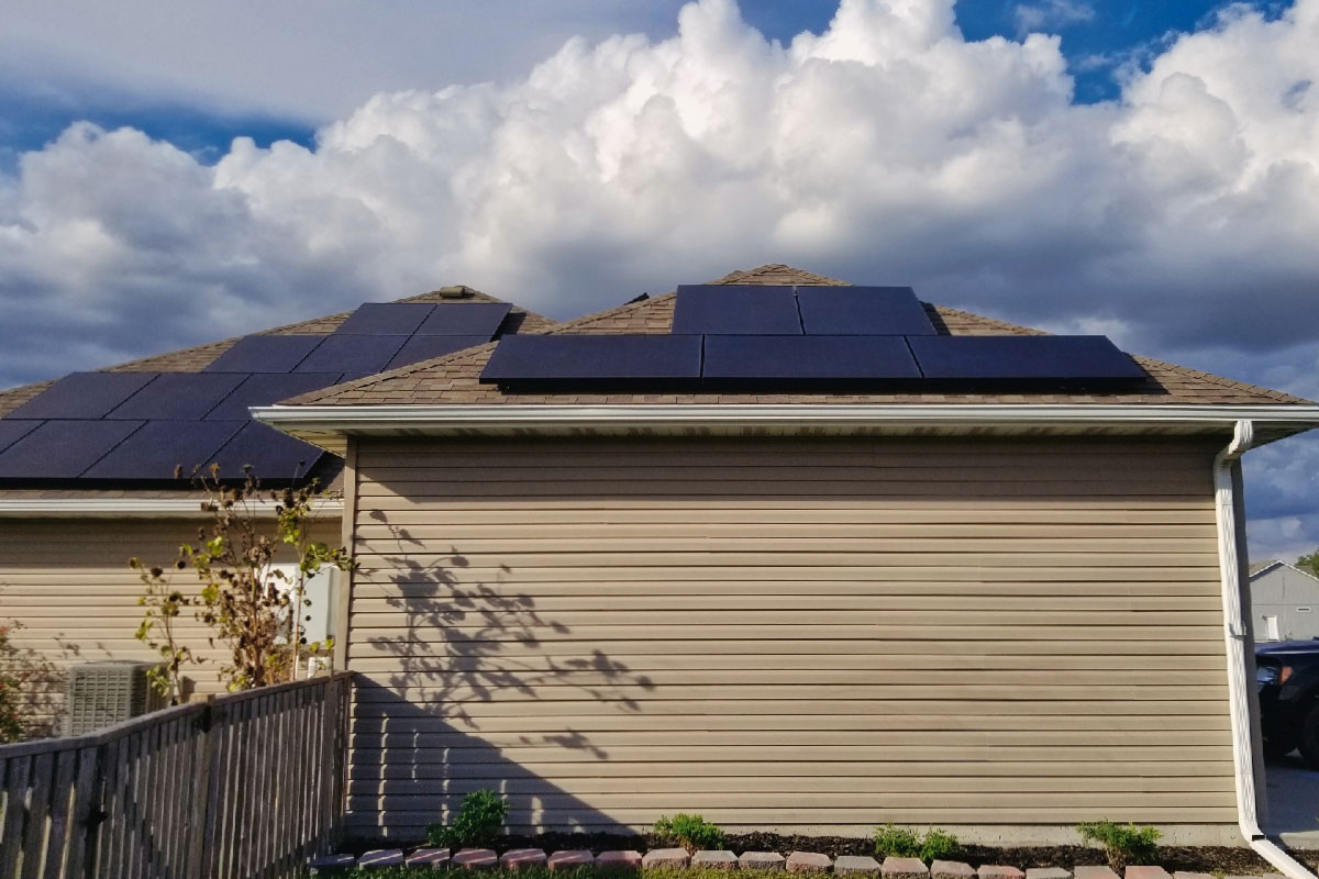 Bush-3-web Knob Noster Solar