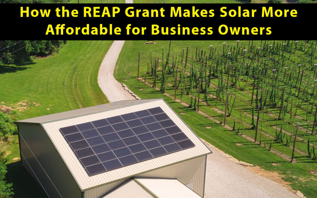 How the REAP Grant Makes Solar Affordable for Business Owners